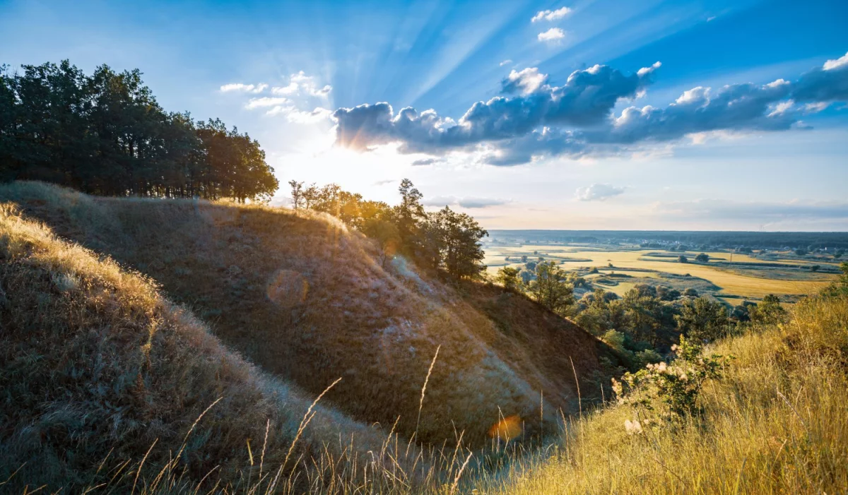 Czy Wiesz Jak odgrzybić mieszkanie W 8 Dni?