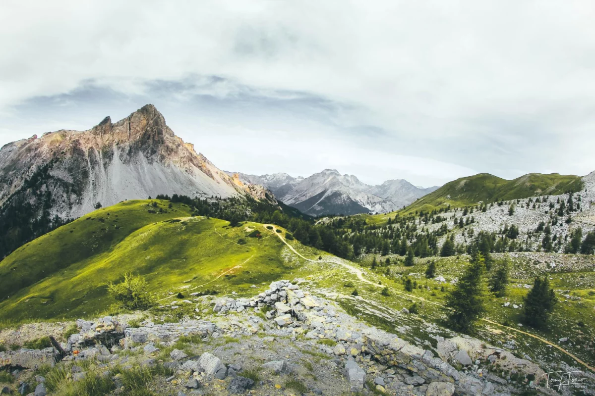 Informacje o transformatorach