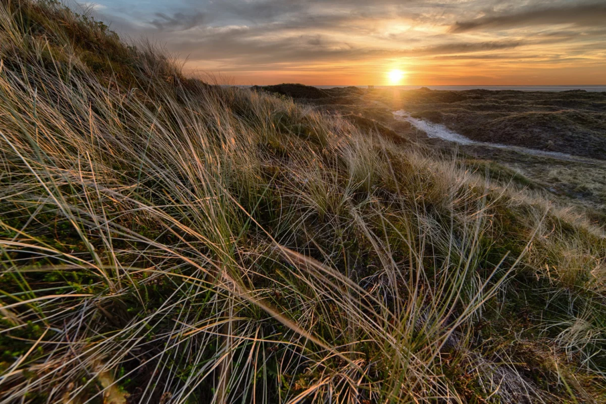 Jak usługi NWCPO przyspieszają rozwój firmy: korzyści, koszty i praktyczne wdrożenia