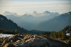 Czy są zmiany jak kupić elektronikę do domu?
